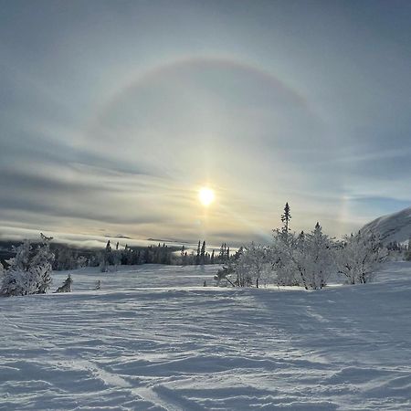 Villa Edvinsvaeg 8 Åre Esterno foto