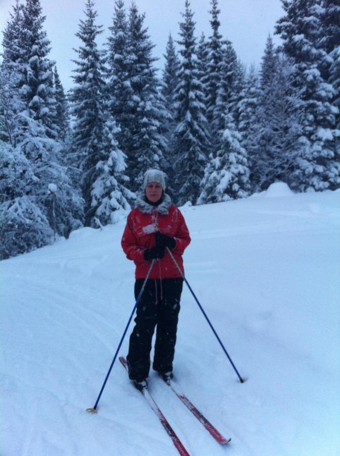 Villa Edvinsvaeg 8 Åre Esterno foto
