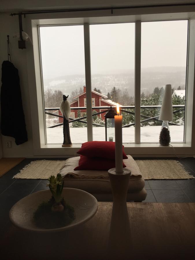 Villa Edvinsvaeg 8 Åre Esterno foto
